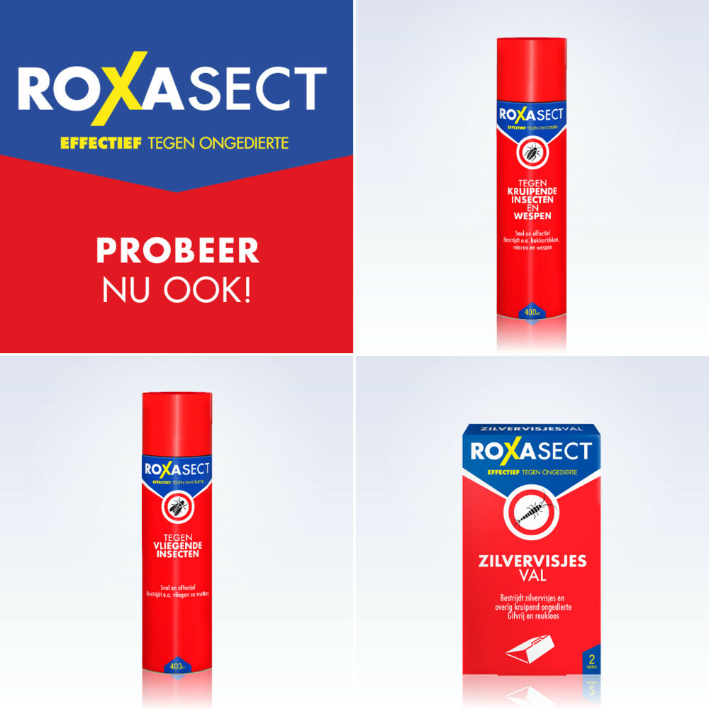 Roxasect Spray tegen Vlooien 300 ml