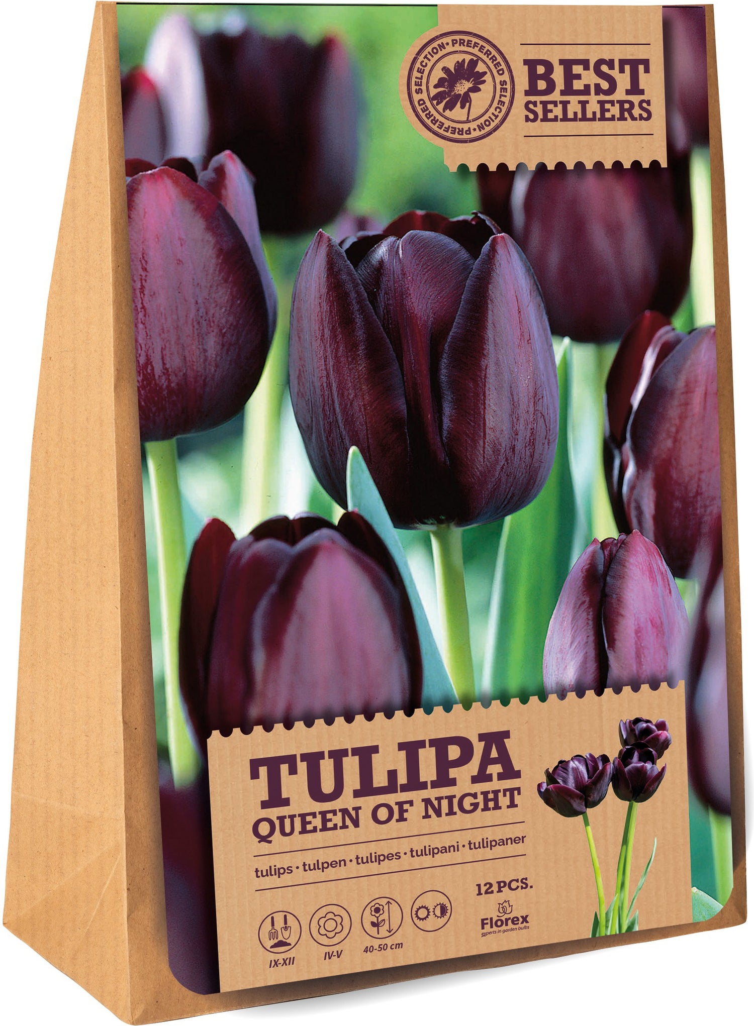 Florex bloembollen tulp (Tulipa 'Queen of the Night') 12 stuks