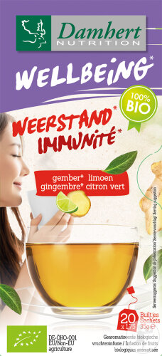 Damhert Wellbeing Thé Gingembre Citron Vert Bio 20 Sachets