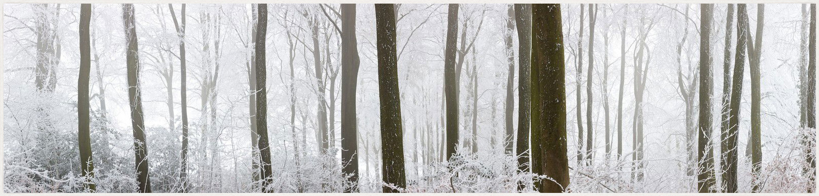 Crystal Light I by Peter Adams - Limited Edition. Edition of: 200. Signed.