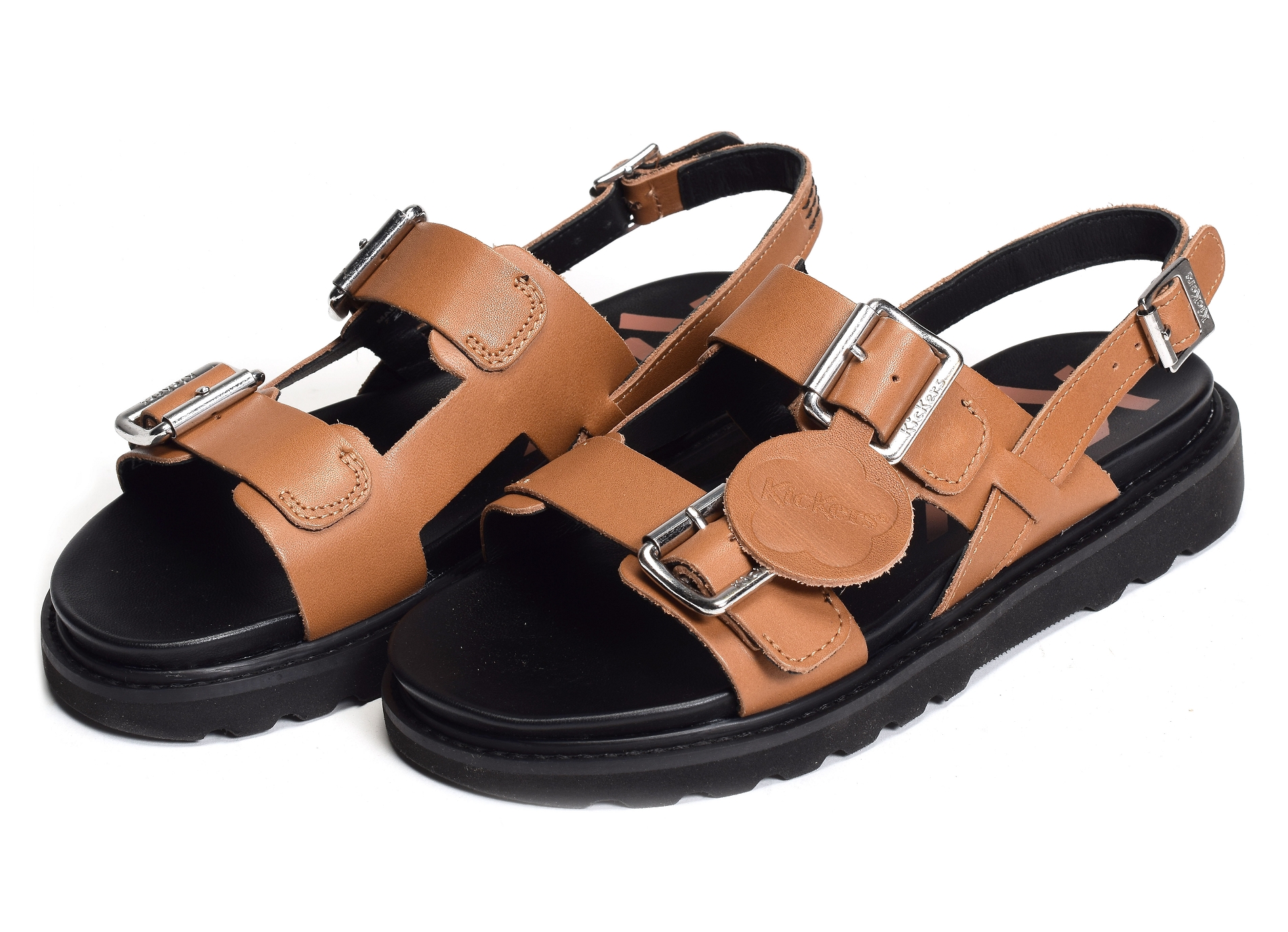 Neosummer camel