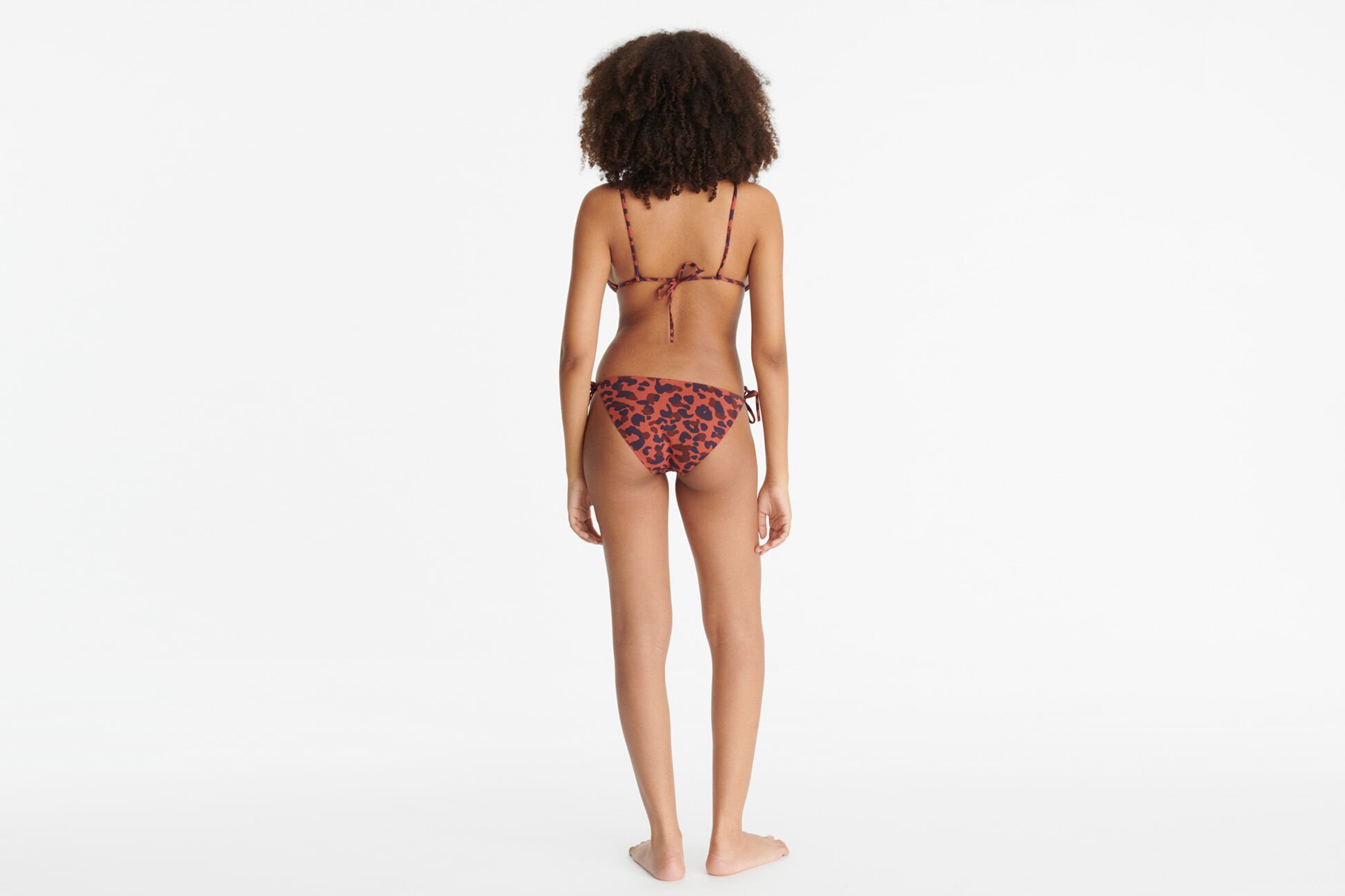Cyprae Petit triangle IMP COQUILLAG ETE INDIEN