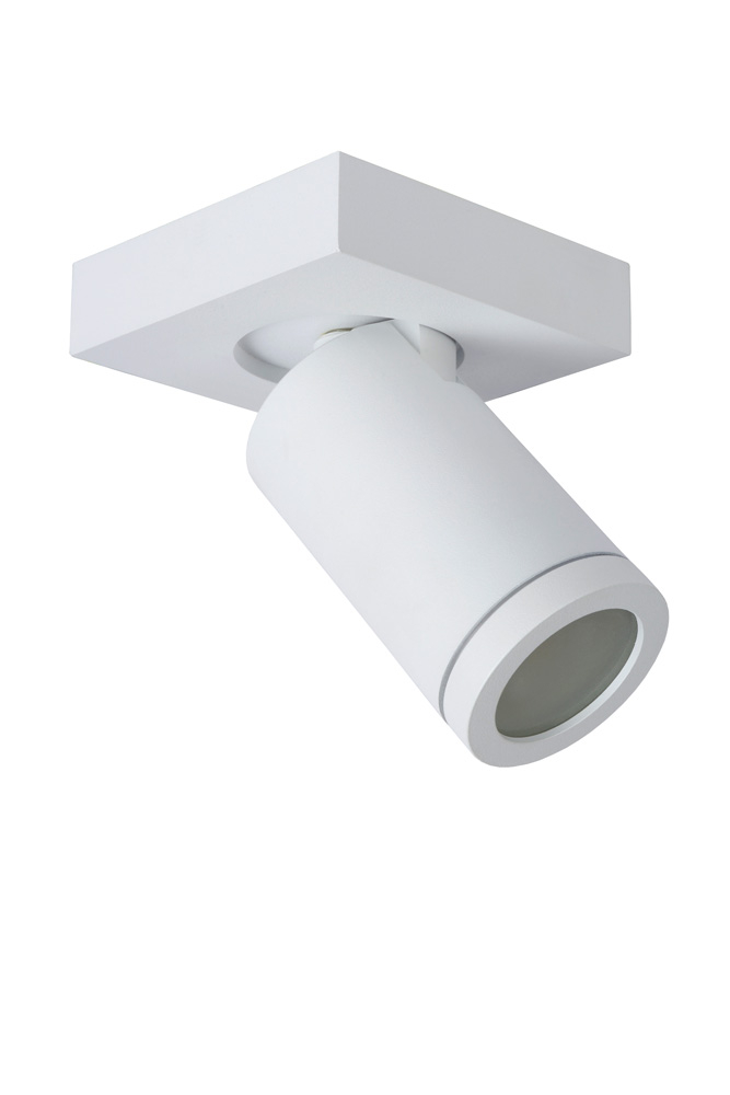 Lucide Taylor plafondlamp 1 spot 5W wit