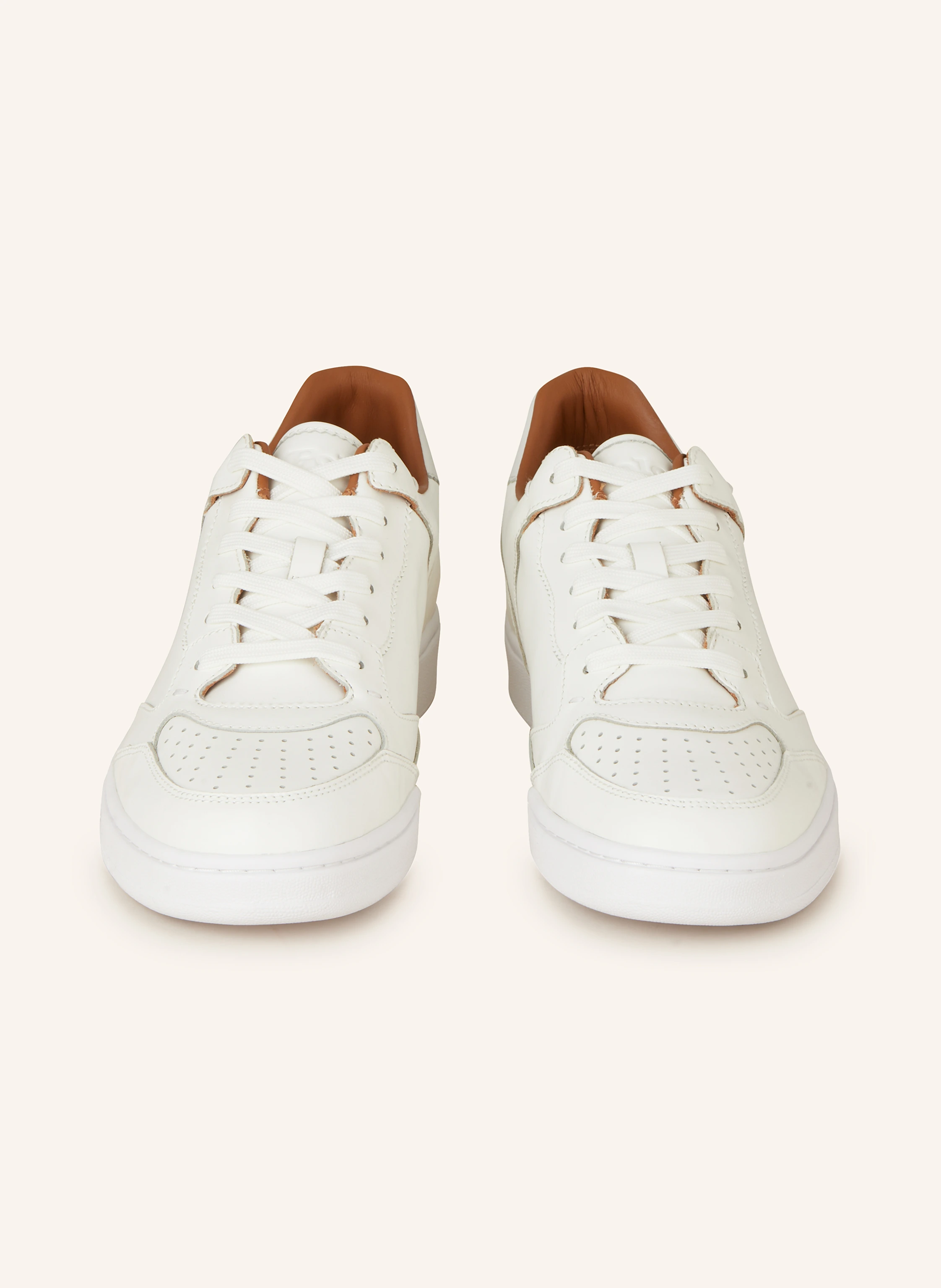 POLO RALPH LAUREN Sneaker