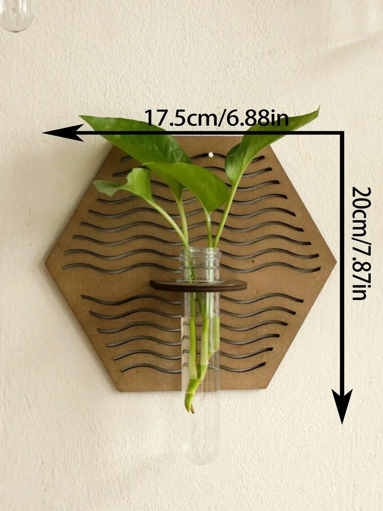 Modern Boho Wood Wall Mounted Hanging Vase | Hydroponic Transparent Glass Tube Plant Holder