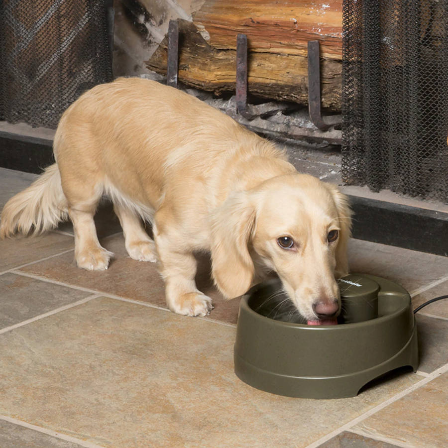 Dispensador automático de água Petsafe Drinkwell para cães e gatos