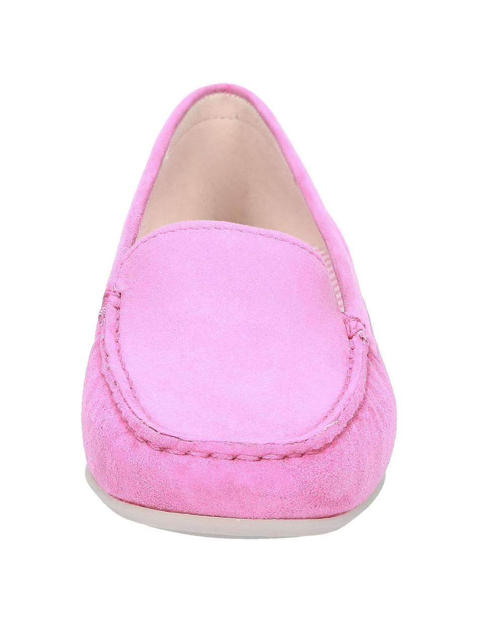 Slipper Zalla