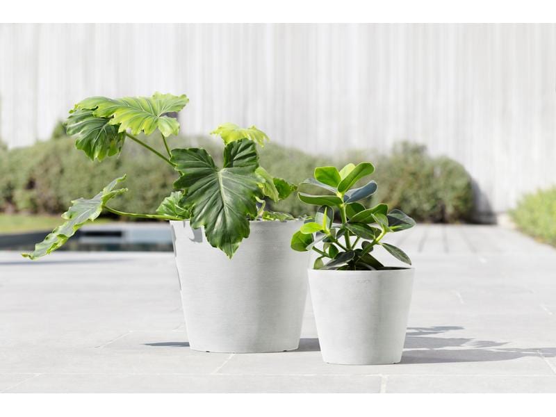 Ecopots Pflanzentopf Amsterdam 20, Weiss Robuster und langlebiger Blumentopf