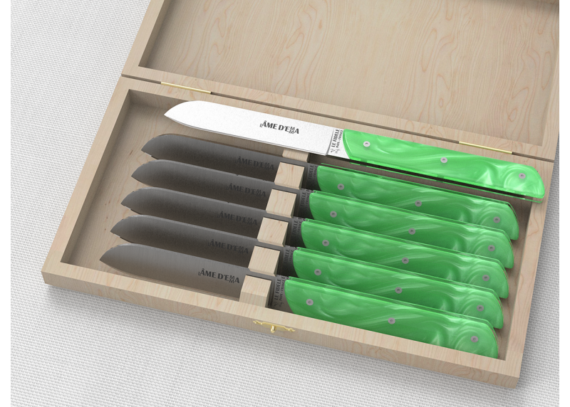Service de 6 couteaux de table avec un manche en Madreperlato Vert Clair et lame en acier inoxidable