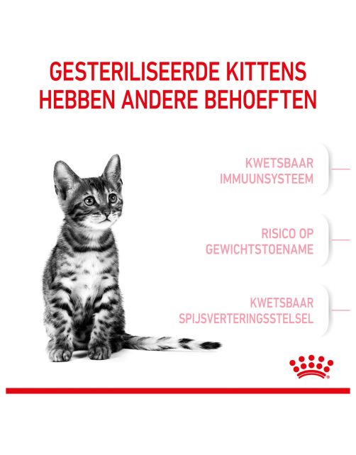 Royal Canin Kitten Sterilised - Kitten-Kattenvoer