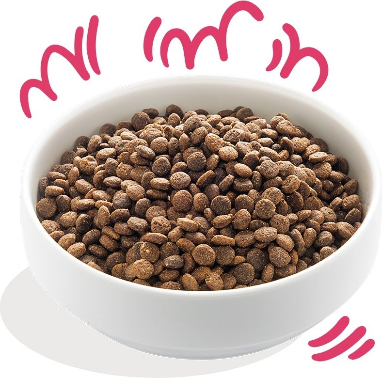 Edgard & Cooper hondenvoer Bio rund en kip adult 700 g