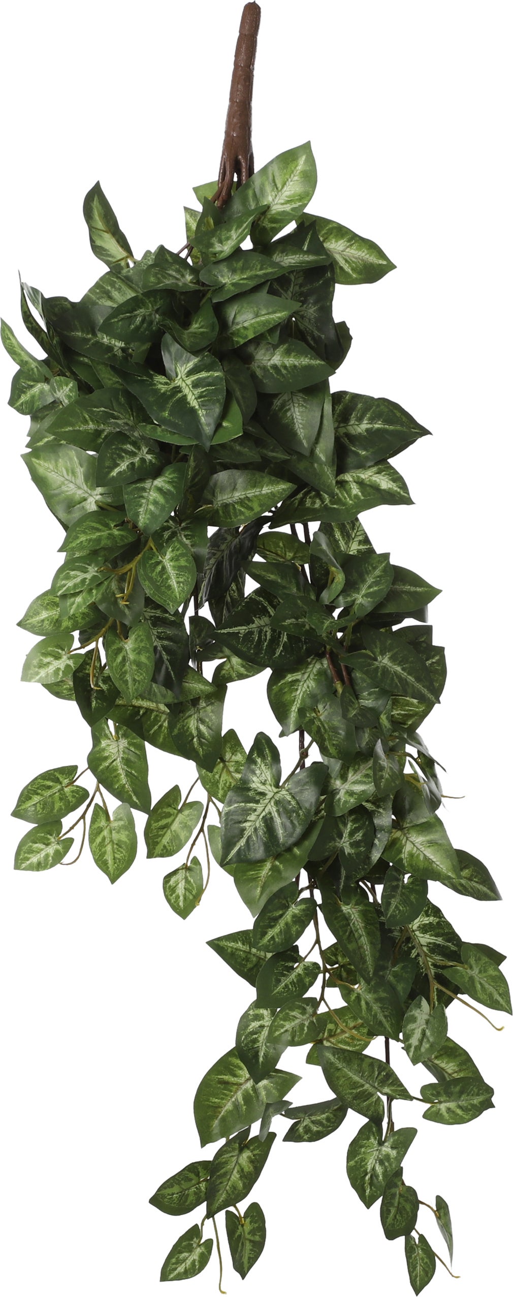 Mica Decorations kunsthangplant Syngonium 15 x 20 x 54 cm
