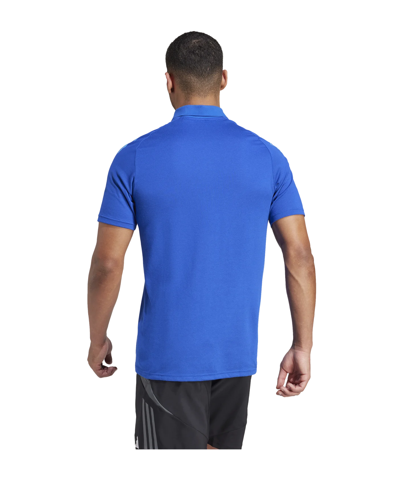 adidas Tiro 24 Competition Poloshirt Blau