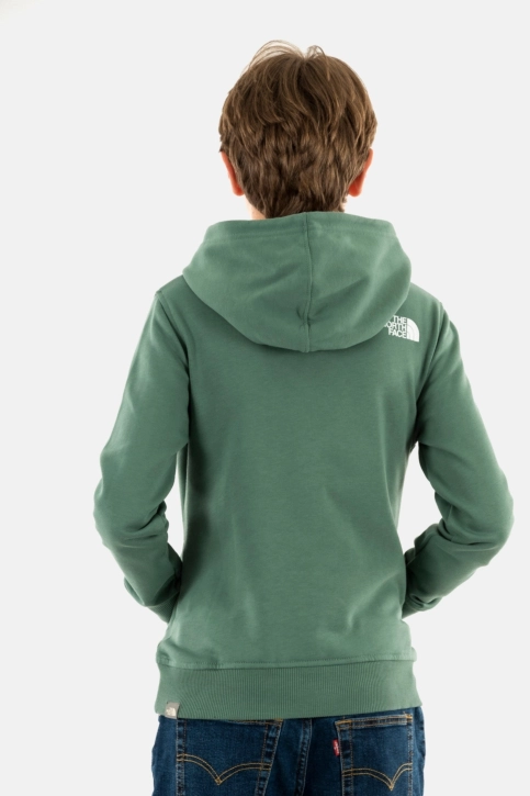 Sweat the north face box p/o o241 dark sage/asphalt grey