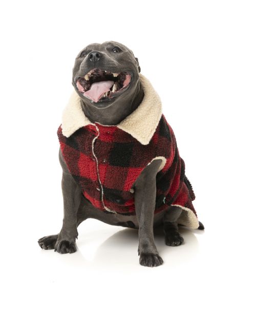 Fuzzyard The Lumberjack Rood&Zwart - Hondenkleding