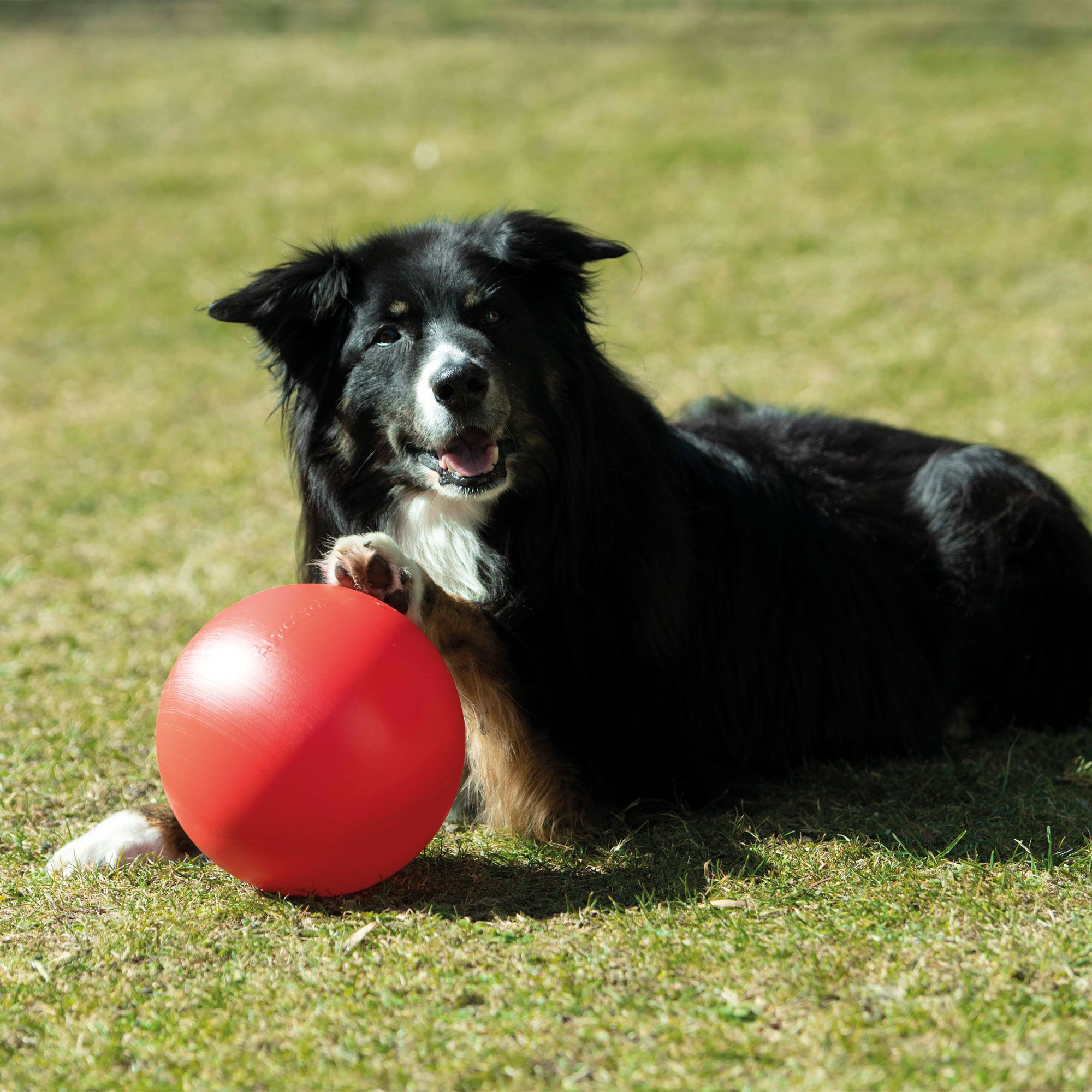 robuster Treibball aus Kunststoff ca. 25 cm