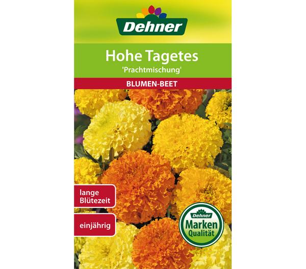 Dehner Samen Hohe Tagetes 'Prachtmischung'
