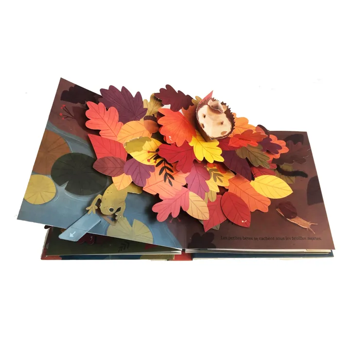 Kimane Livre Couleurs de l'automne - Janet Lawler