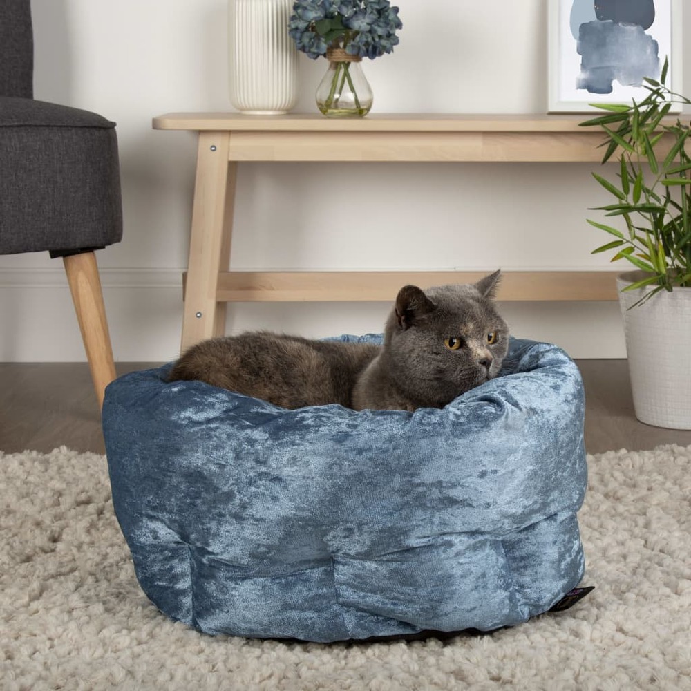 Lit pour animaux de compagnie velours bleu