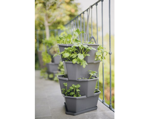 Aardappeltoren Gusta Tuin Plantenpot Starterset Paul Aardappel met 4 Lagen