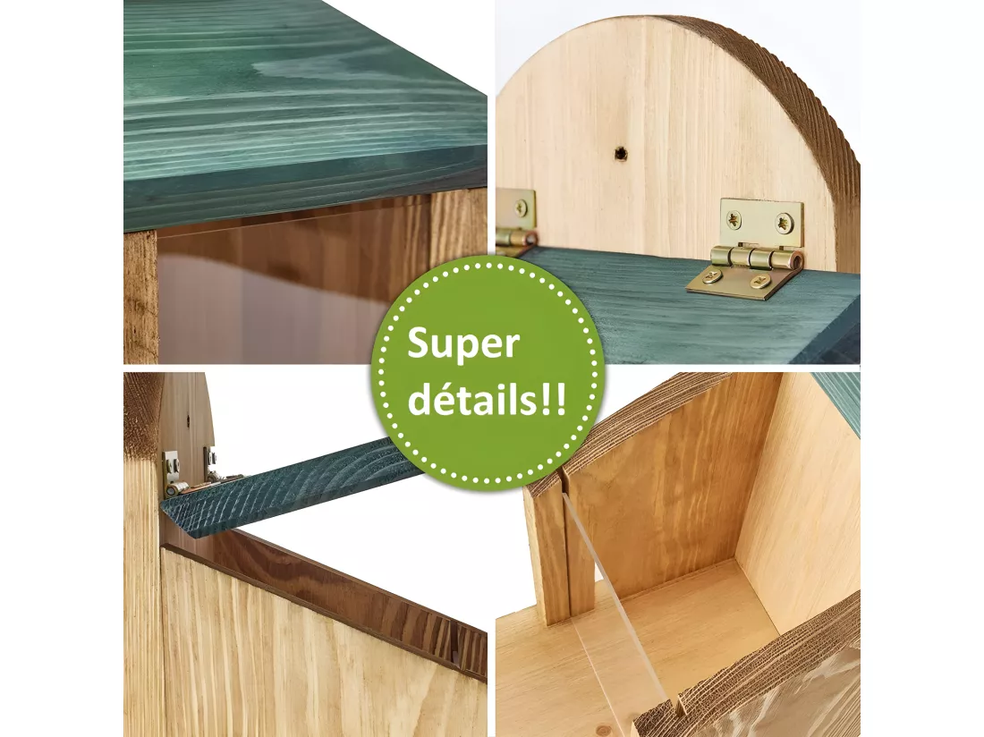 Mangeoire Écureuil Distributeur de nourriture éxtérieur robuste en bois massif et vitre plexiglas de haute qualité