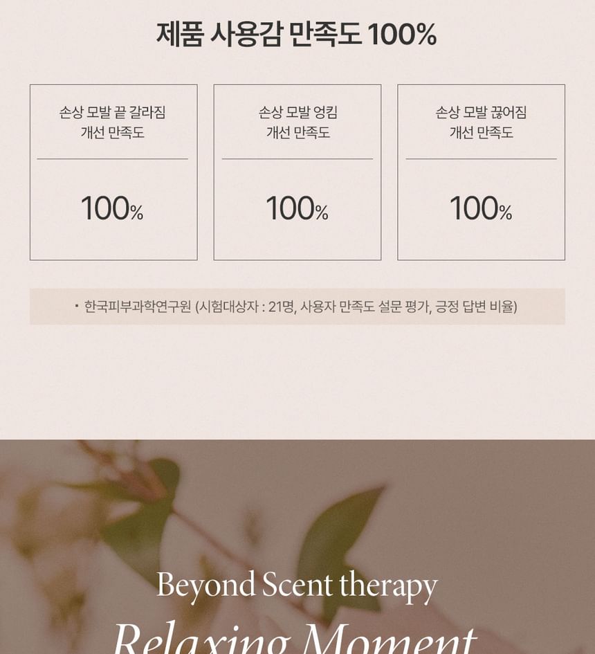 BEYOND - Argan Therapy Signature Haarolie