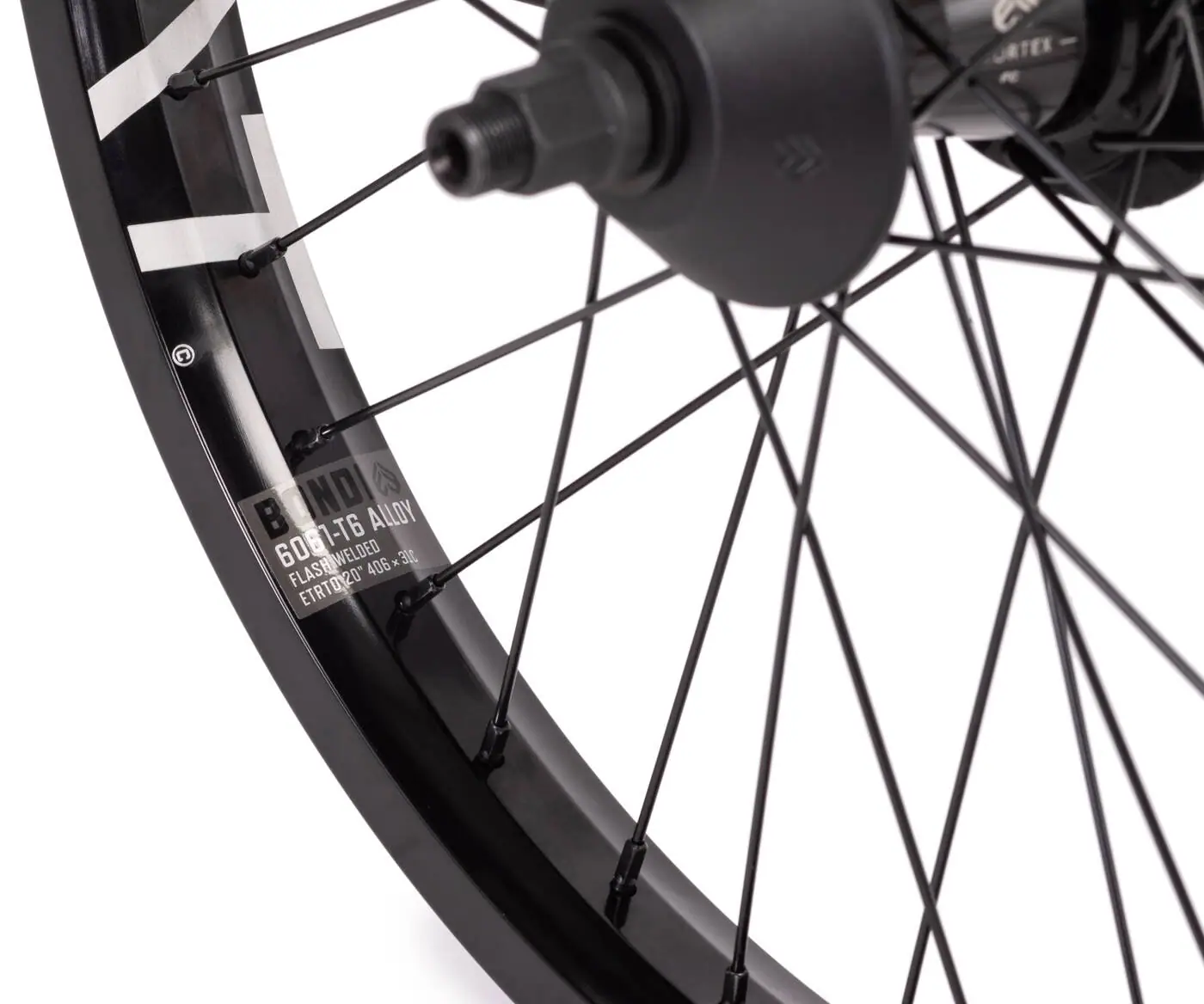 Eclat Bondi Freecoaster 20