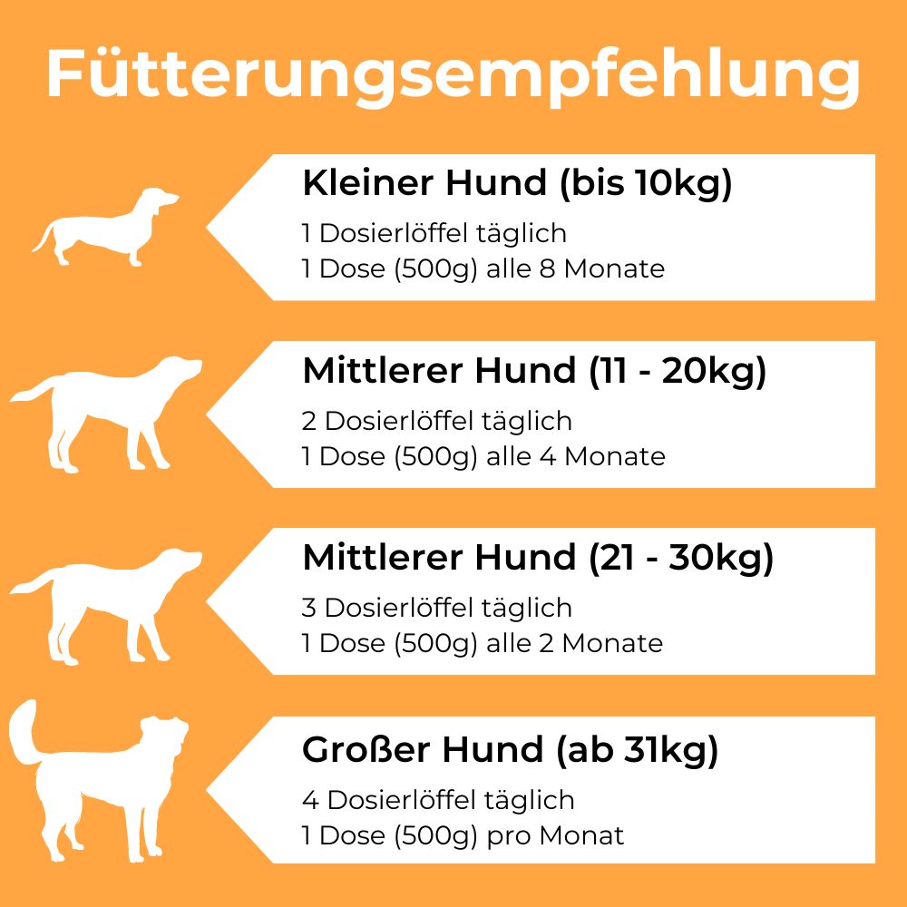Dog-Native MSM Pulver für Hunde