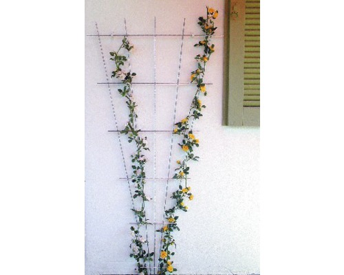 Decoratief trellis Lafiora staal 75x150 cm groen