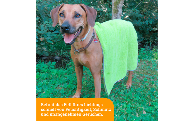 Awiwa Mikrofaser Hundehandtuch