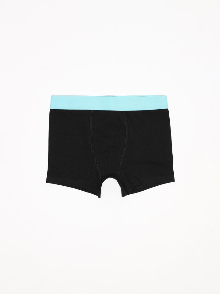 Pacote com 7 cuecas boxer básicas - Cores Variadas