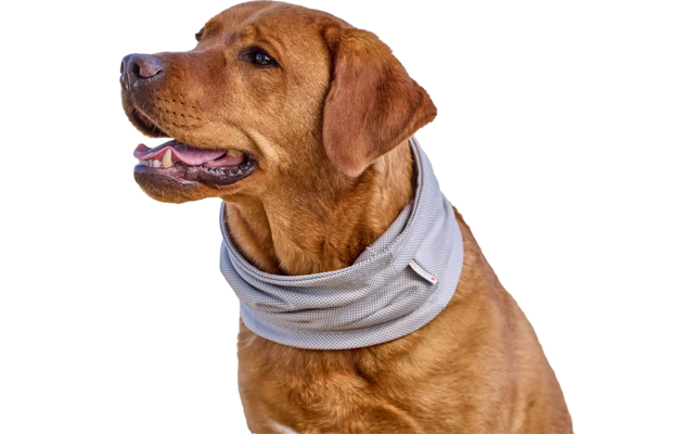 Wolters watchout Kühlschal für Hunde grau