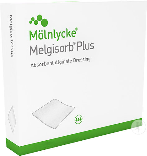 Melgisorb Plus Pansement Alginate Absorbant 10x10cm Pièces 10