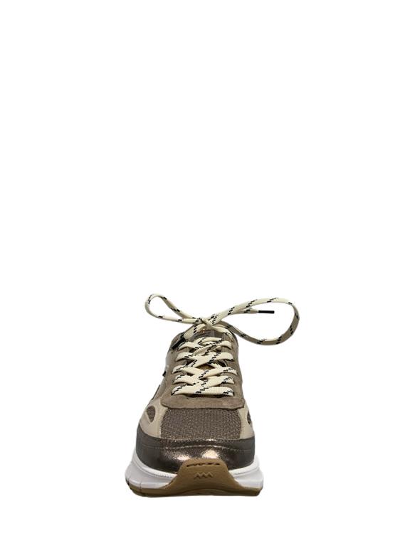 Floris van Bommel SFW-10101 bronz