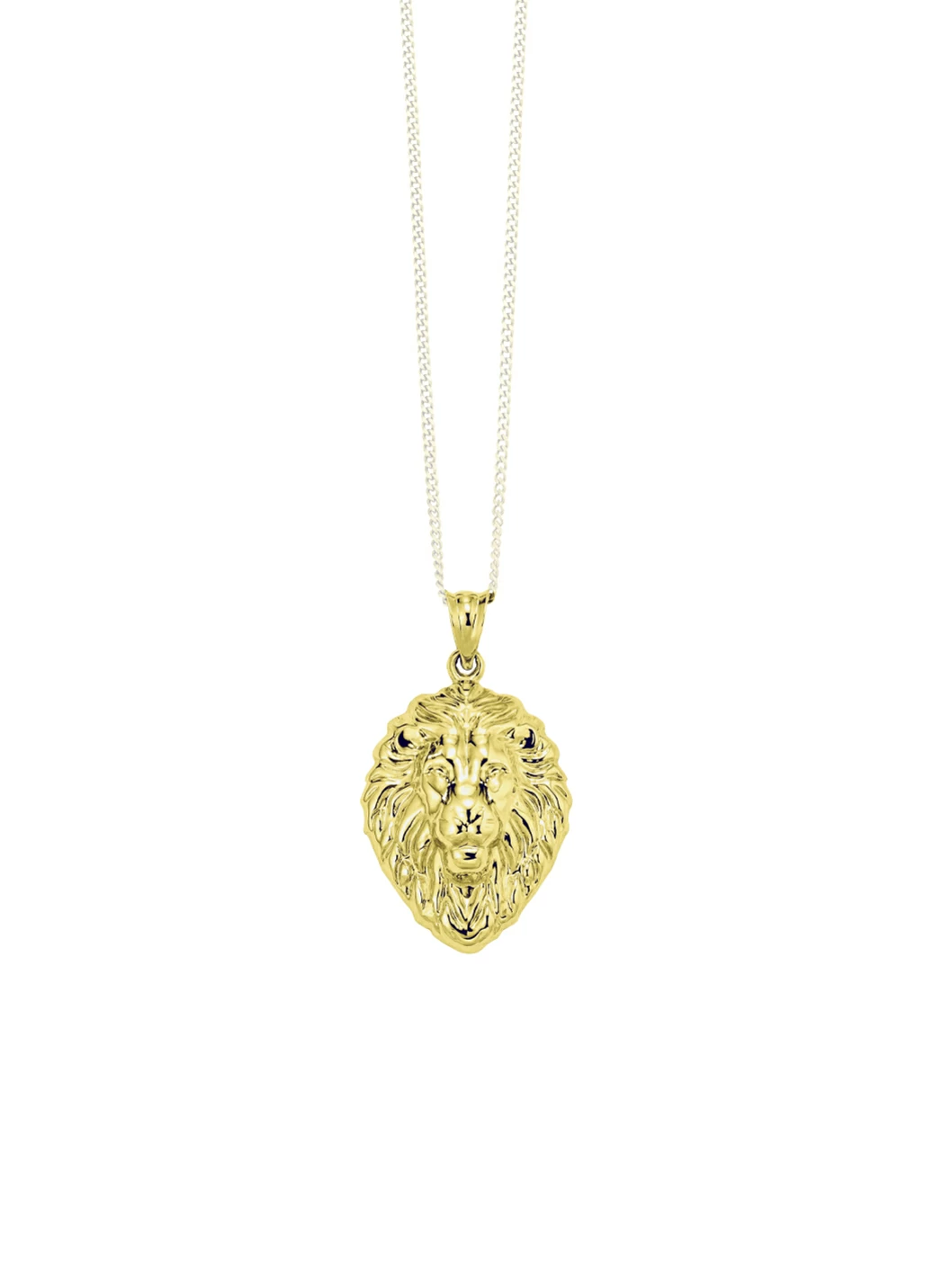 Markanter Löwenkopf-Anhänger
