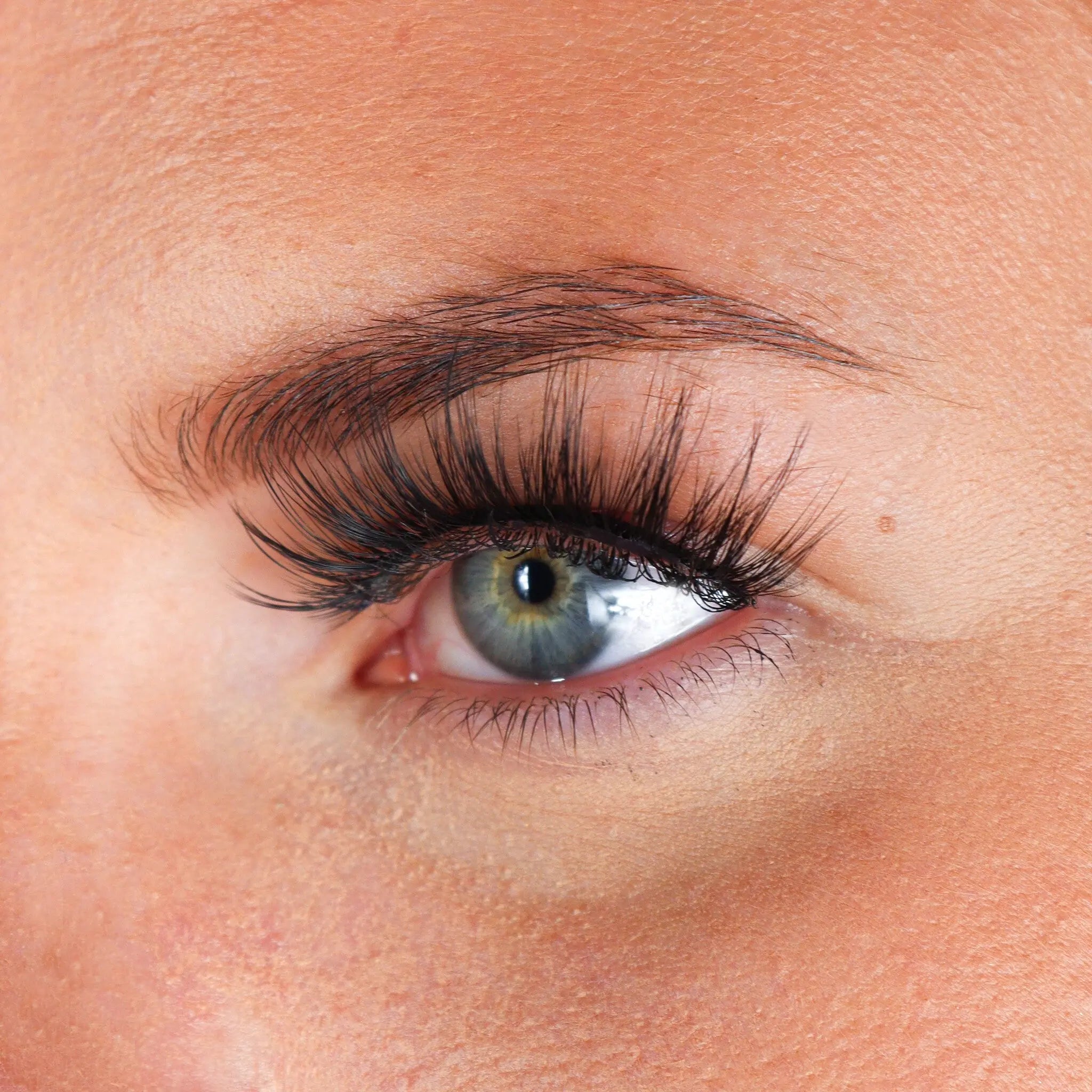 Lashes Laetitia