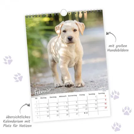 Trötsch Classic-Kalender 