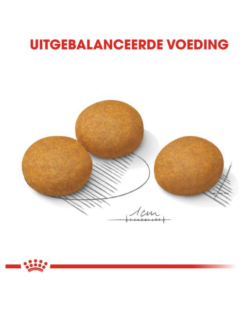 Royal Canin Dermacomfort Maxi - Hondenvoer