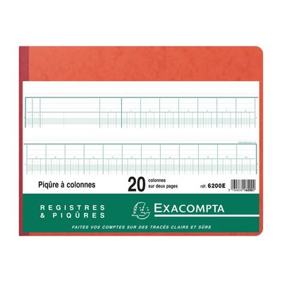 Exacompta - Piqûre comptable - 20 colonnes sur 2 pages - 25 x 32 cm - 80 pages