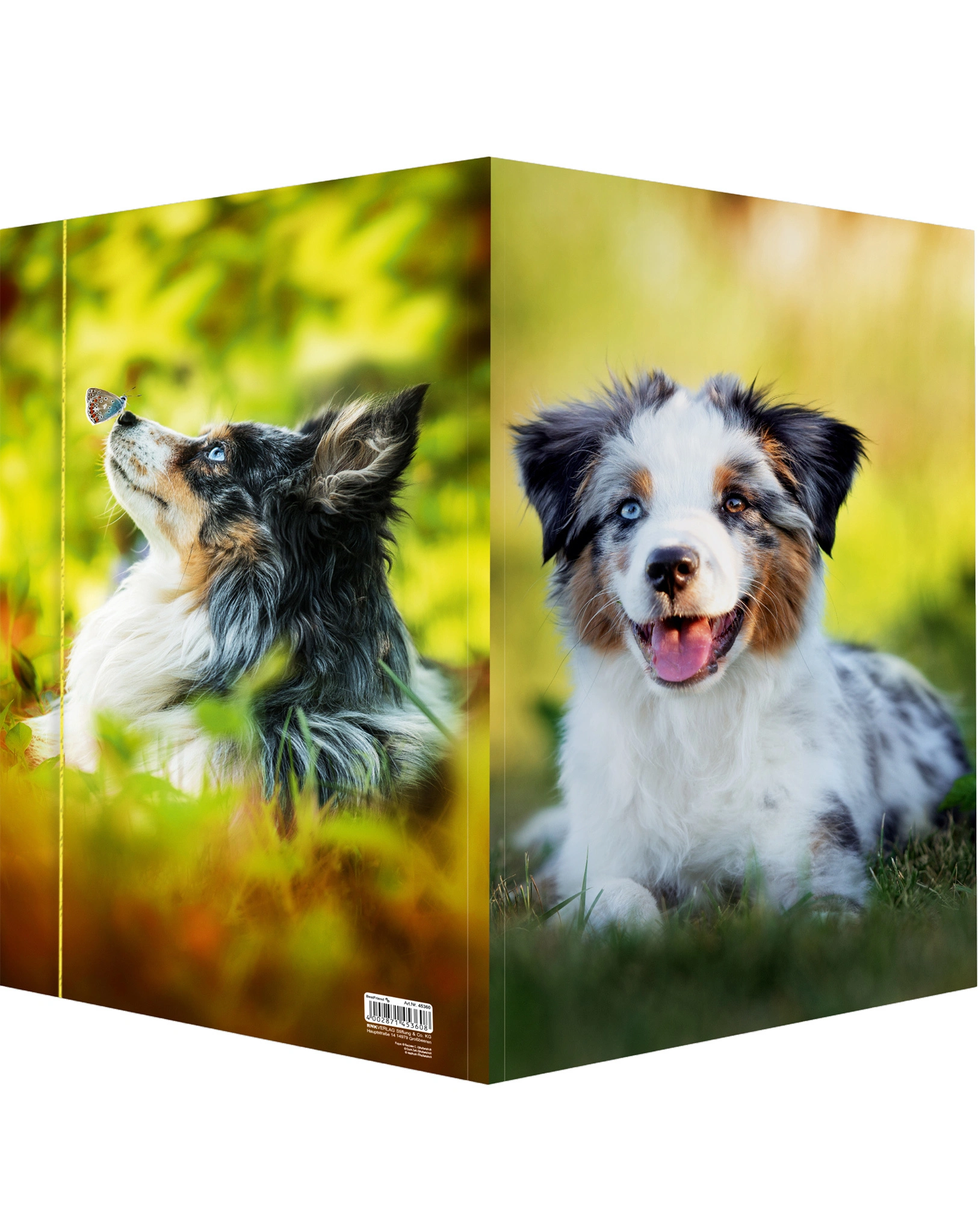 Zeichenmappe BEST FRIEND (31x44) A3