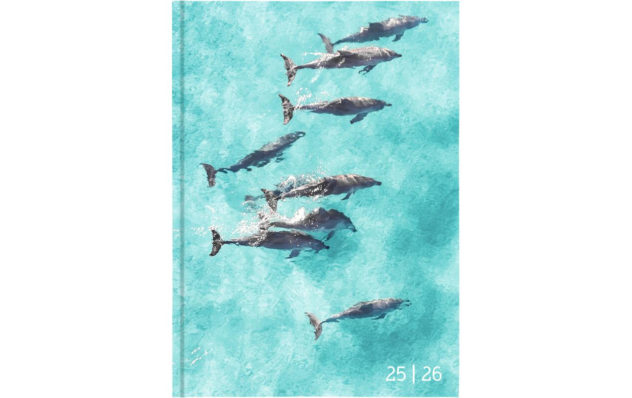 Schüleragenda Mydiary Animal 25/26 FSC, 1T/1S, 12 x 16.5 cmModerner Terminplaner für Jugendliche
