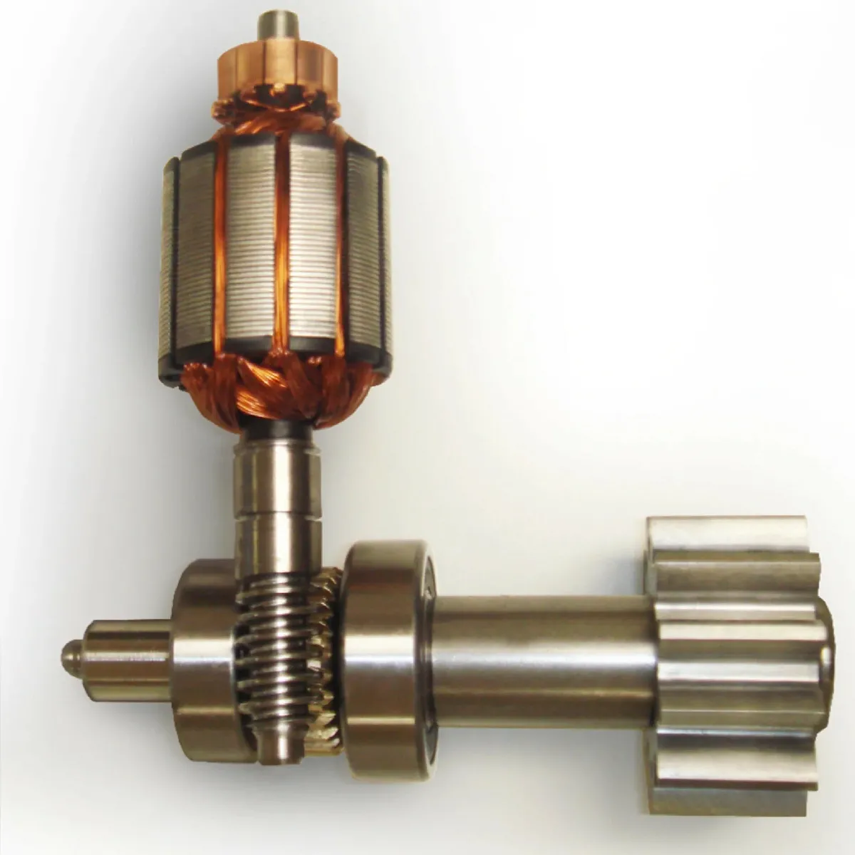 Ducati Home SLIDE 446 MC Motor