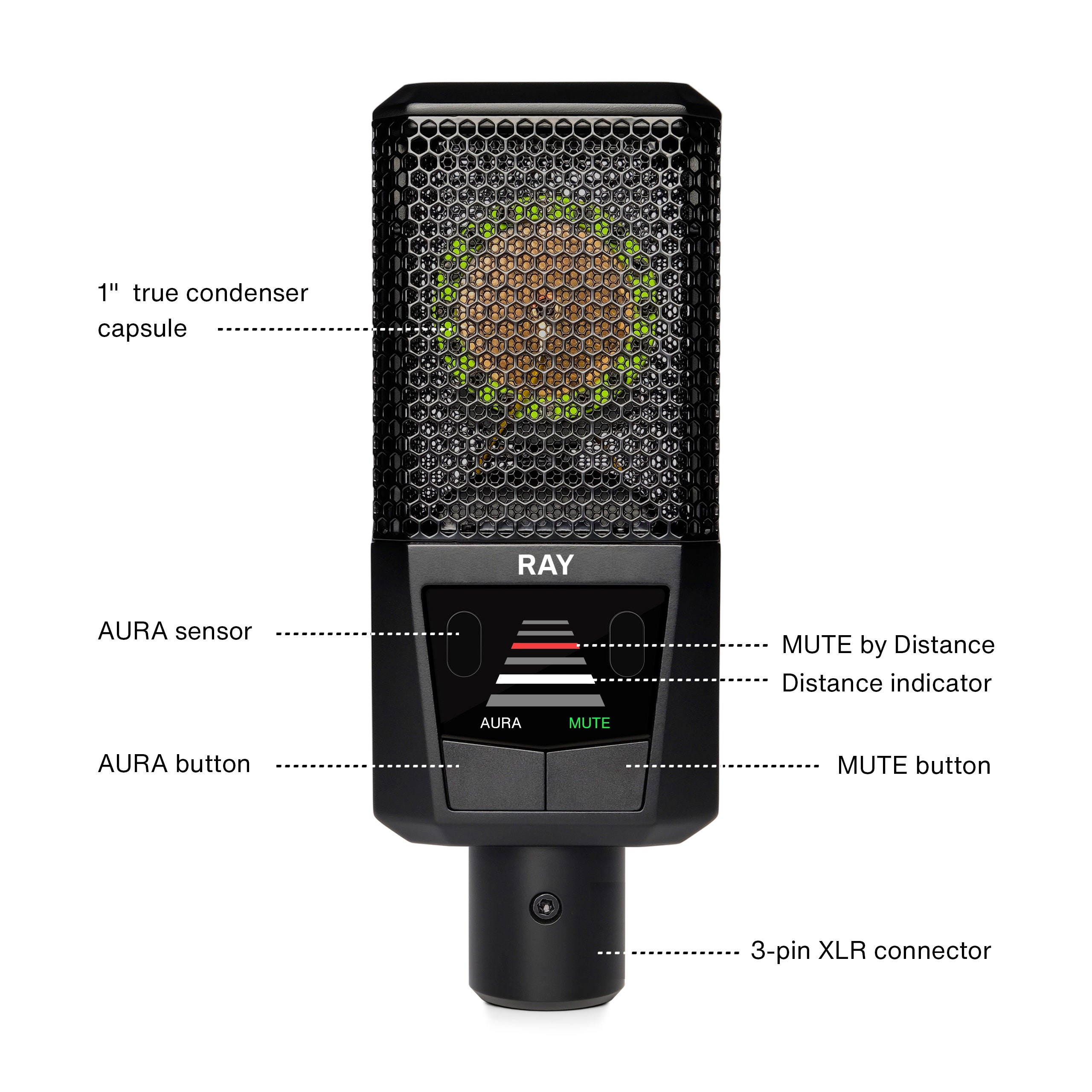 Lewitt Ray grootmembraan condensatormicrofoon
