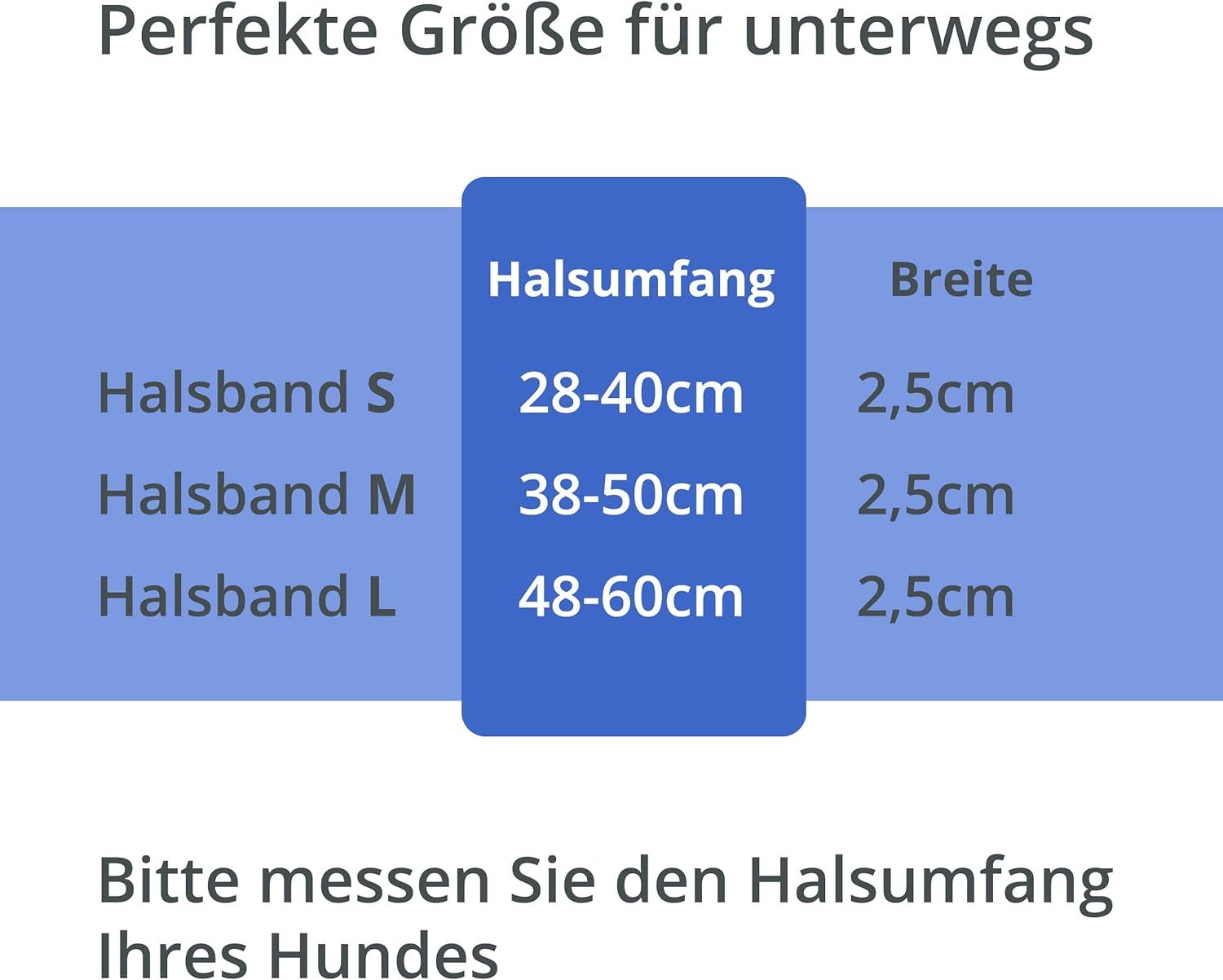 PETSATION Leuchthalsband Hundehalsband