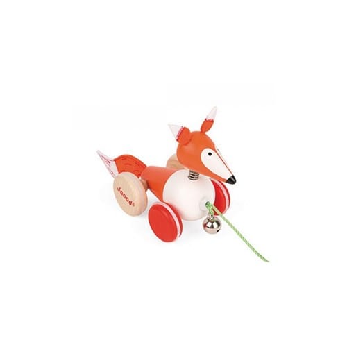 Renard a promener zigolos