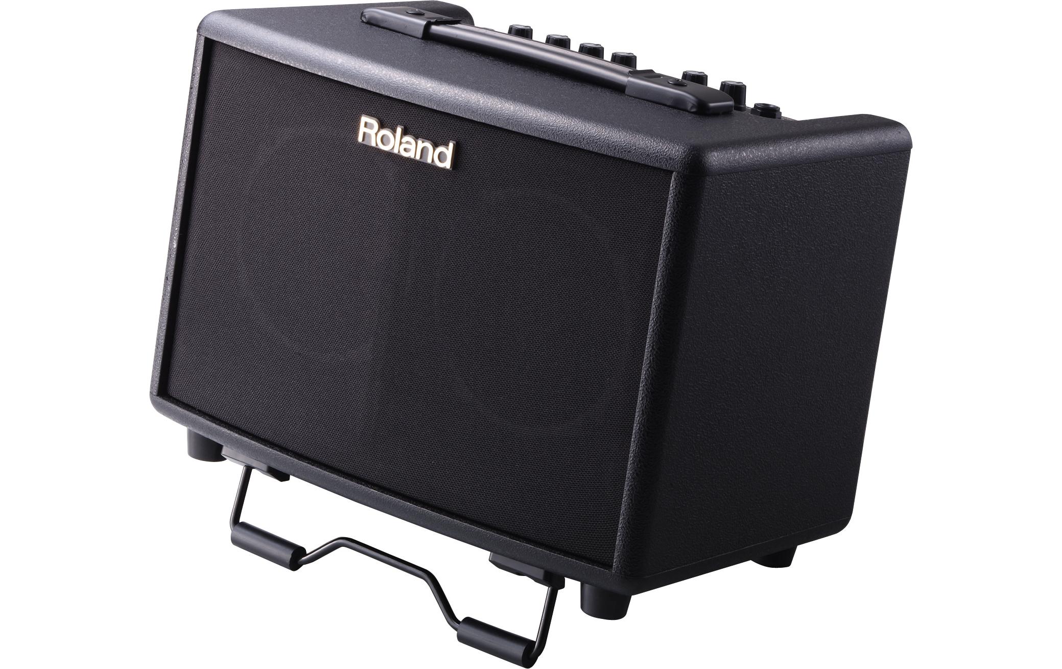 Combo AC-33<br>Neues Palisander-Finish!