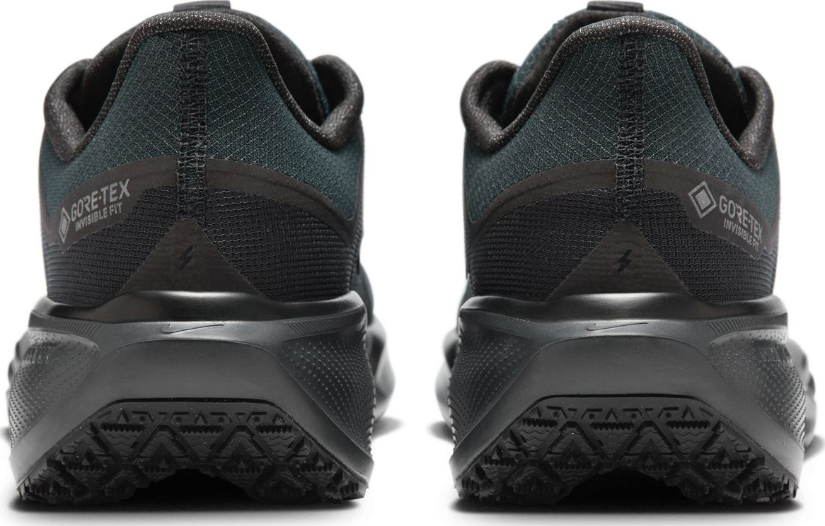 Pegasus 41 GORE-TEX Herre 001/Black/Black/Anthracite