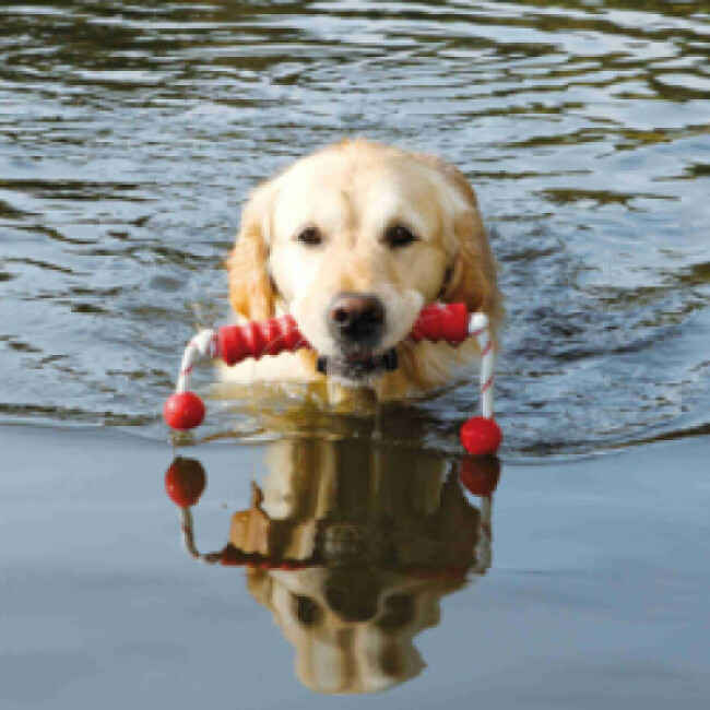 Jouet de motivation Long Mot Trixie pour chien