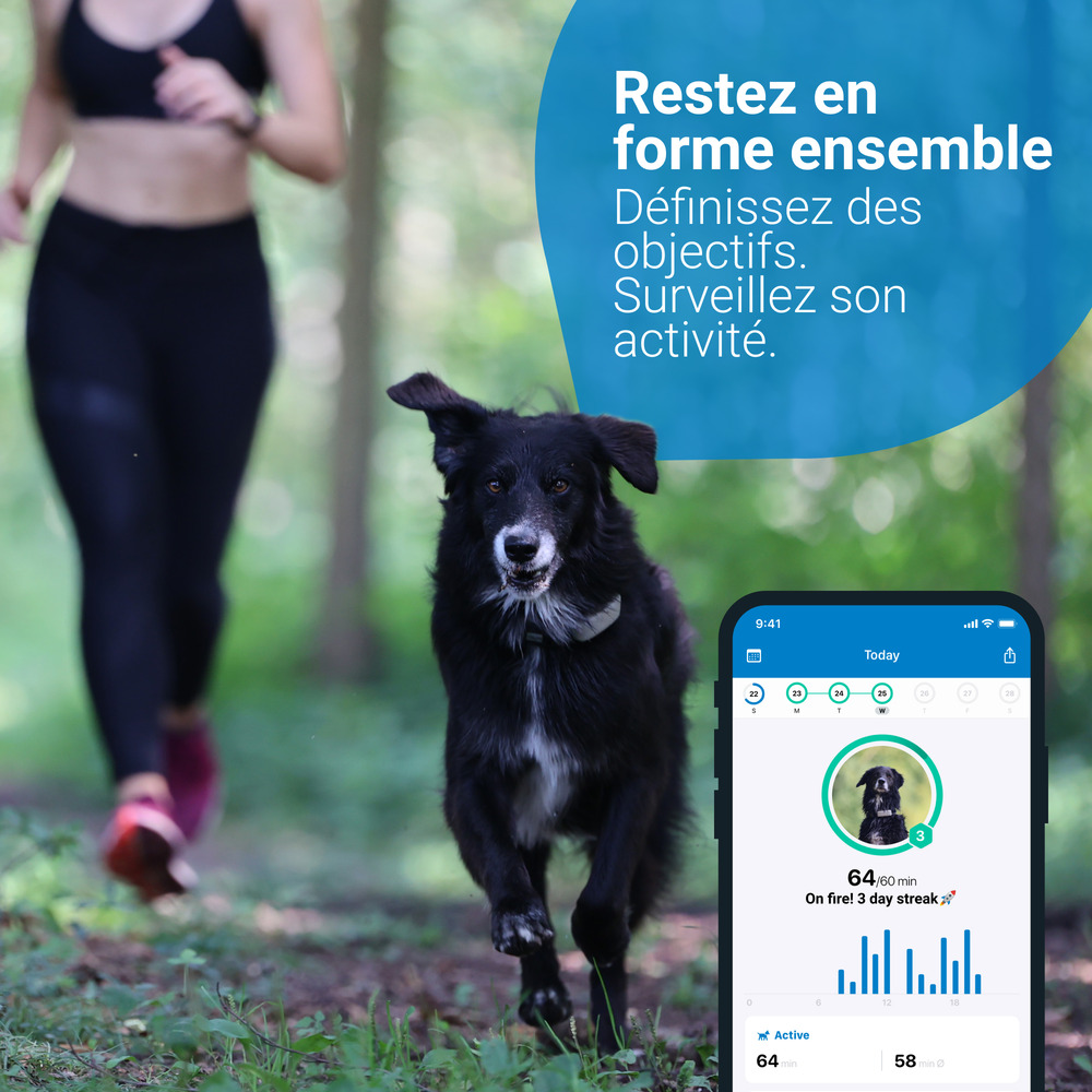 Tractive GPS DOG 4 - collier GPS pour chien avec suivi d'activité - Café