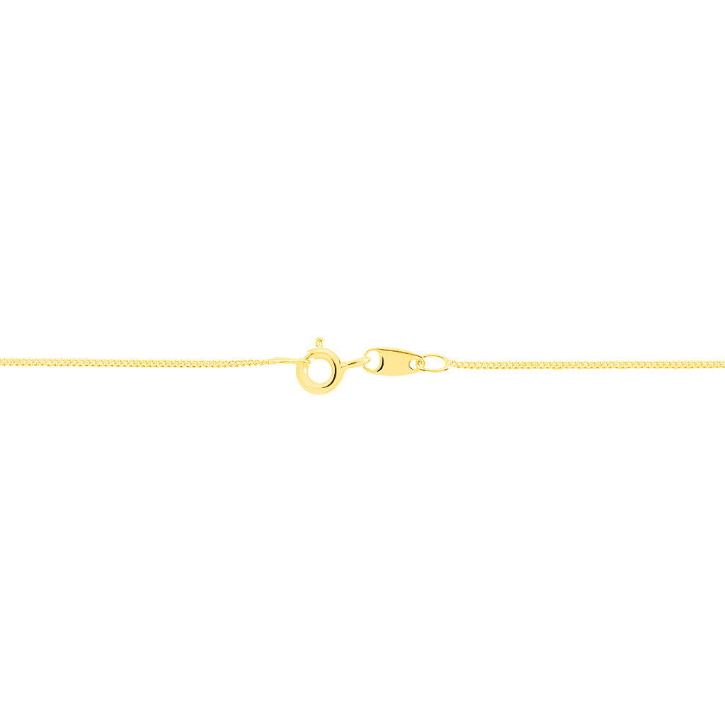 Chaîne Iris Maille Gourmette Or Jaune